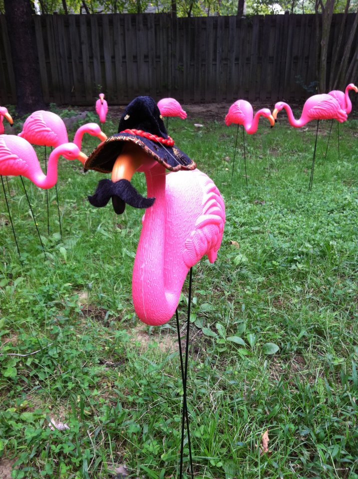 299600_10100514936165648_5716173_57321284_200377814_n