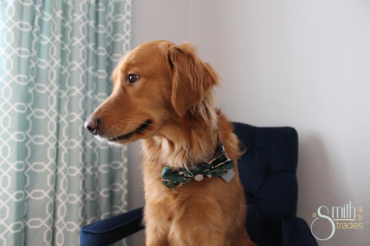 {A Smith of All Trades} Remmy and his bow tie17