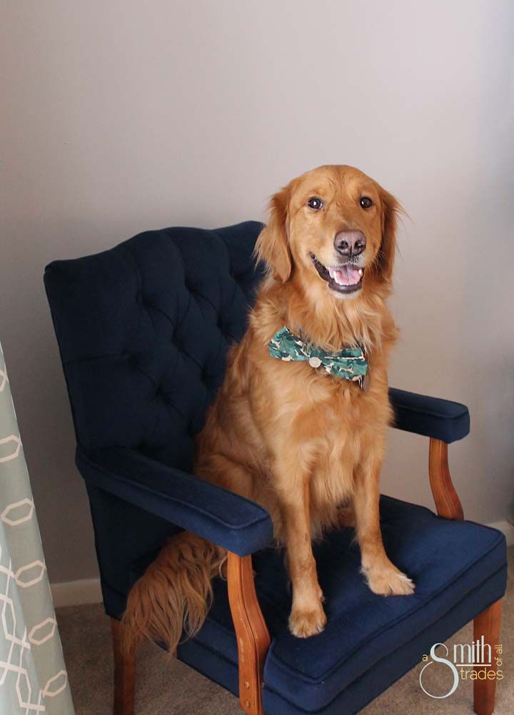 {A Smith of All Trades} Remmy and his bow tie21