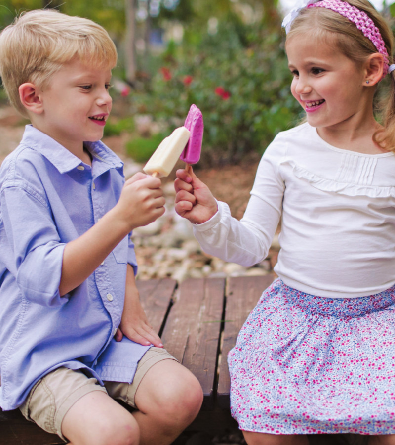 Frozen Yogurt Pops photo